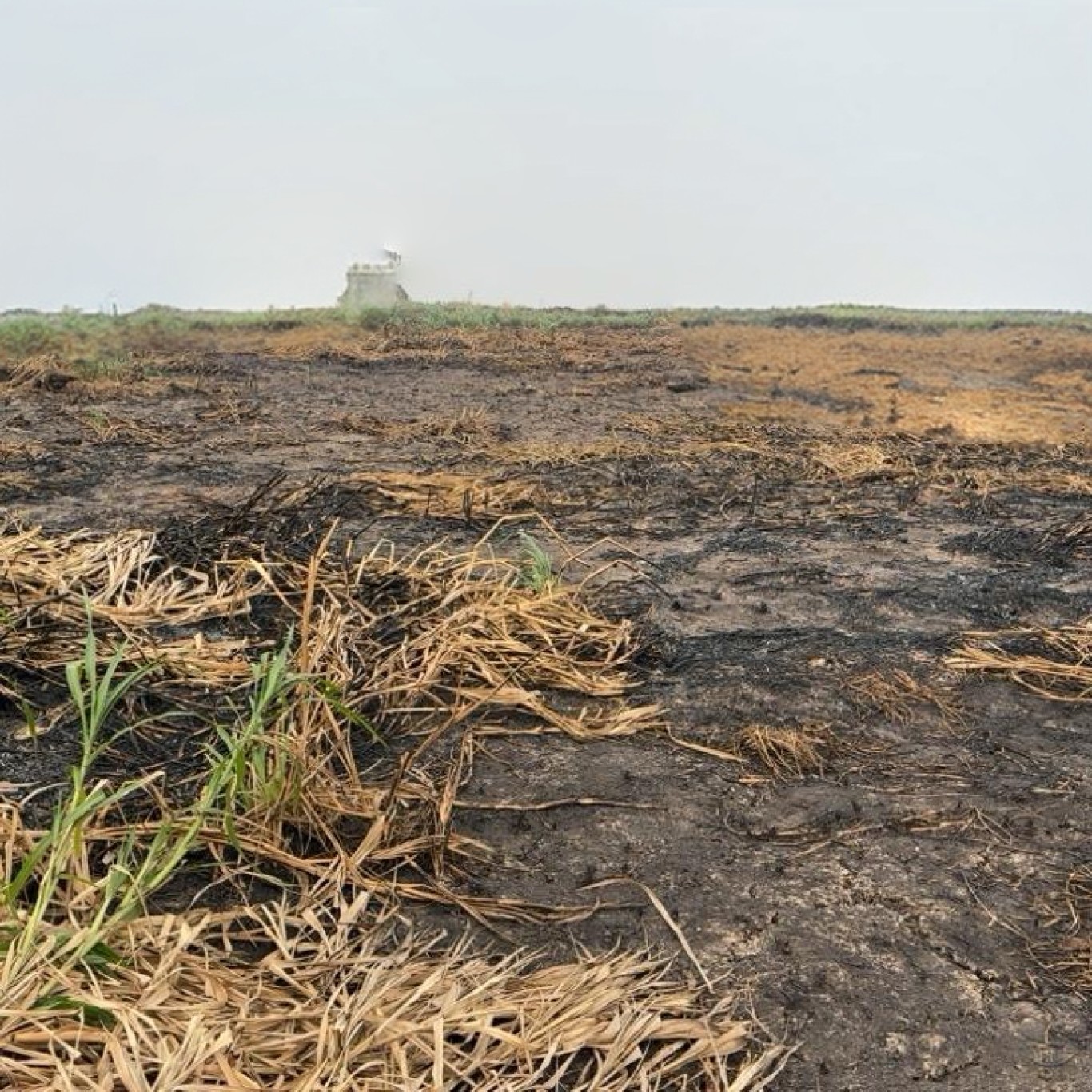 Mais de R$ 2 milhões em multas foram aplicadas pela Prefeitura como resposta imediata à crise climática 