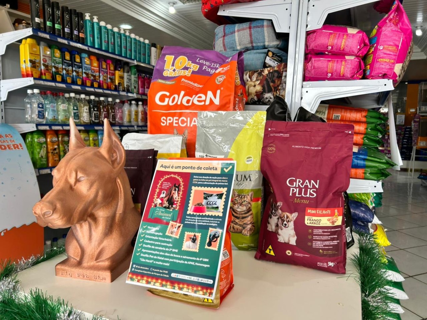 Imagem de Pit Stop Animal: Prefeitura de Santarém intensifica arrecadação de ração e leite para animais até 17 de dezembro