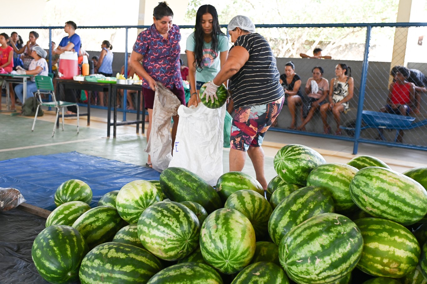 Imagem de Santarém se consolida como referência nacional no PAA e garante meio milhão para fortalecer a Segurança Alimentar