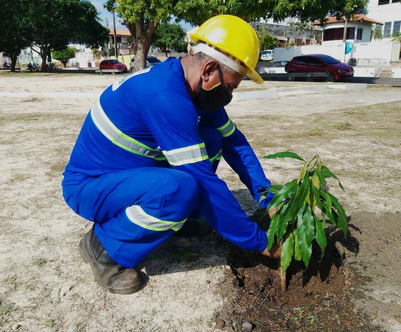 Prefeitura arboriza a Praça Barão de Santarém