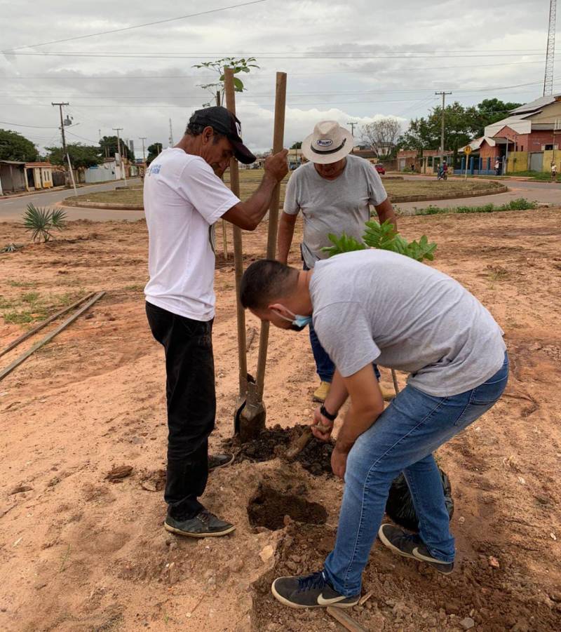 Programa Arborizar Santarém: 20 mudas de sombreamento e paisagismo são plantadas no canteiro central da Avenida Anysio Chaves