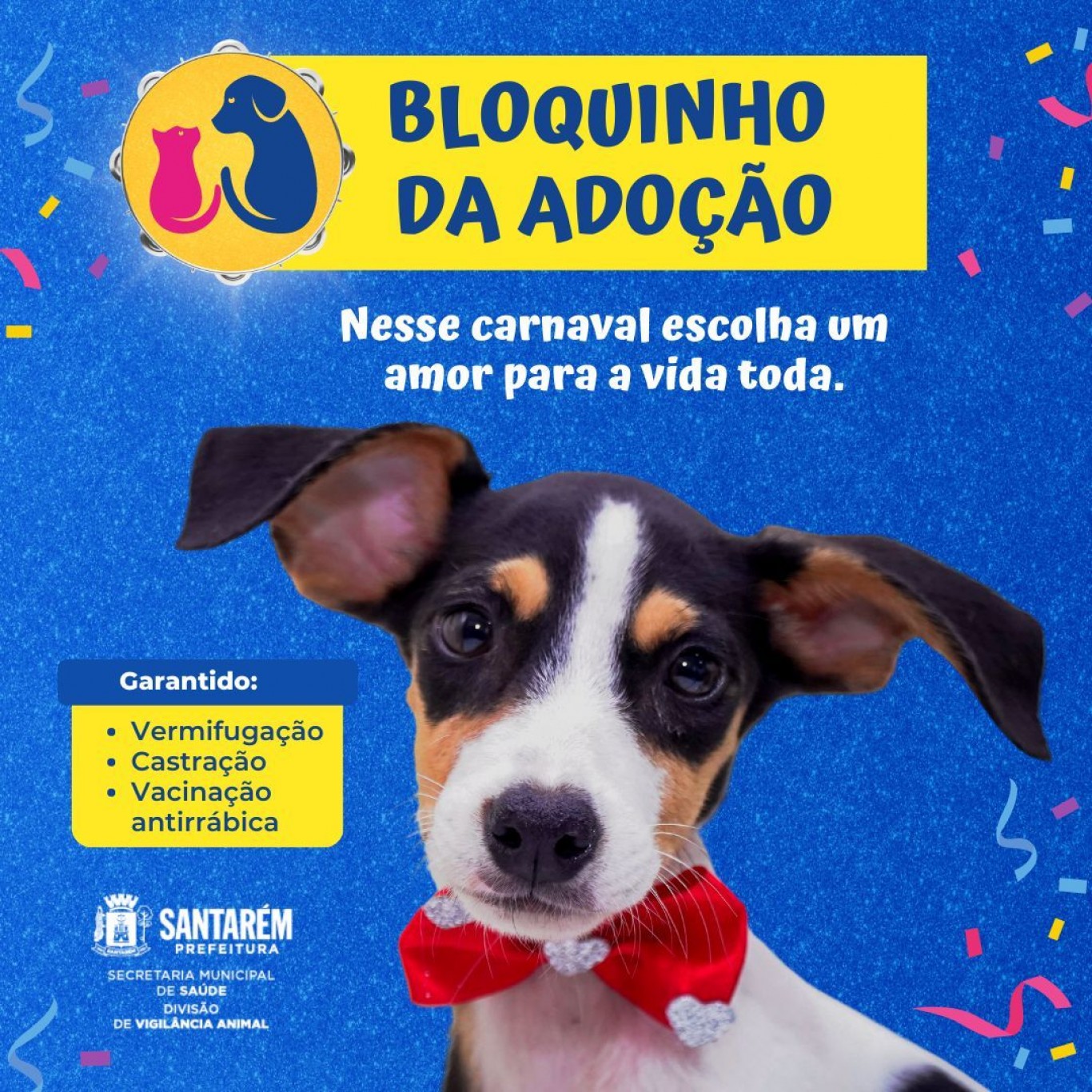 O Carnaval dos Animais, OSP para Crianças