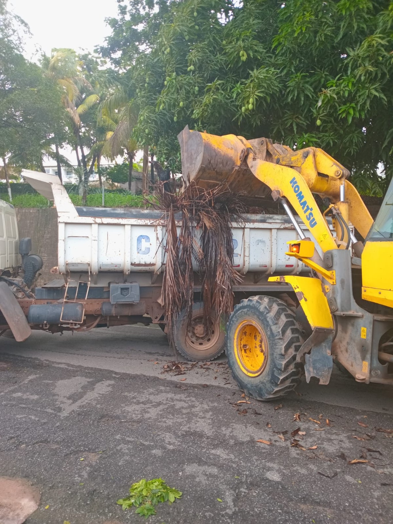 Prefeitura de Santarém realiza retirada de entulhos no bairro Liberdade