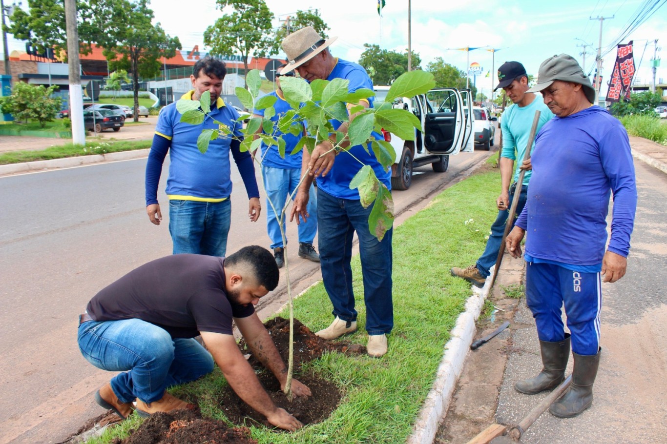 Avenida Fernando Guilhon recebe novas mudas de sombreamento
