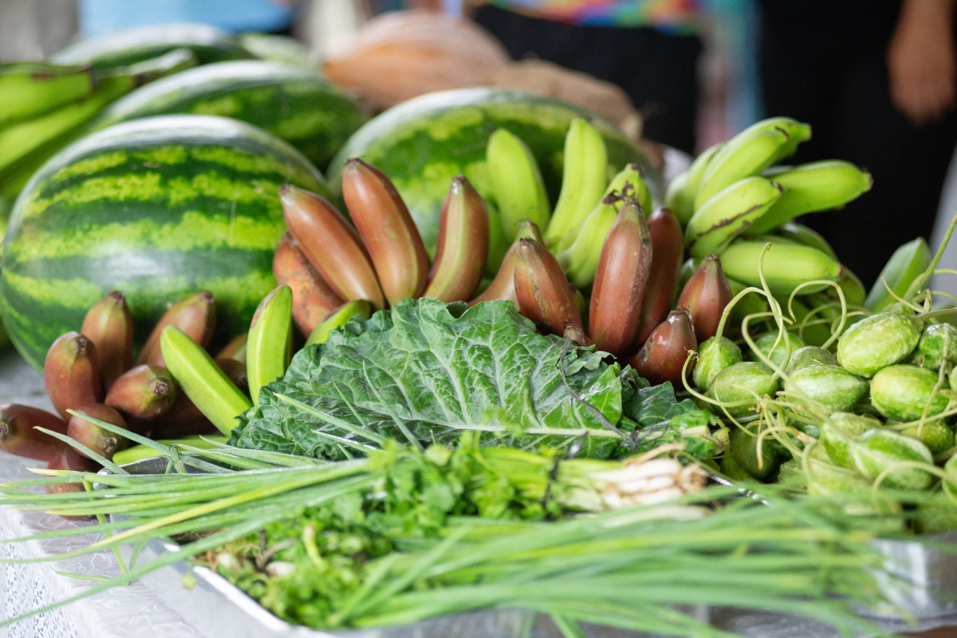 Prefeitura de Santarém lança Chamada Pública para compra de alimentos da agricultura familiar