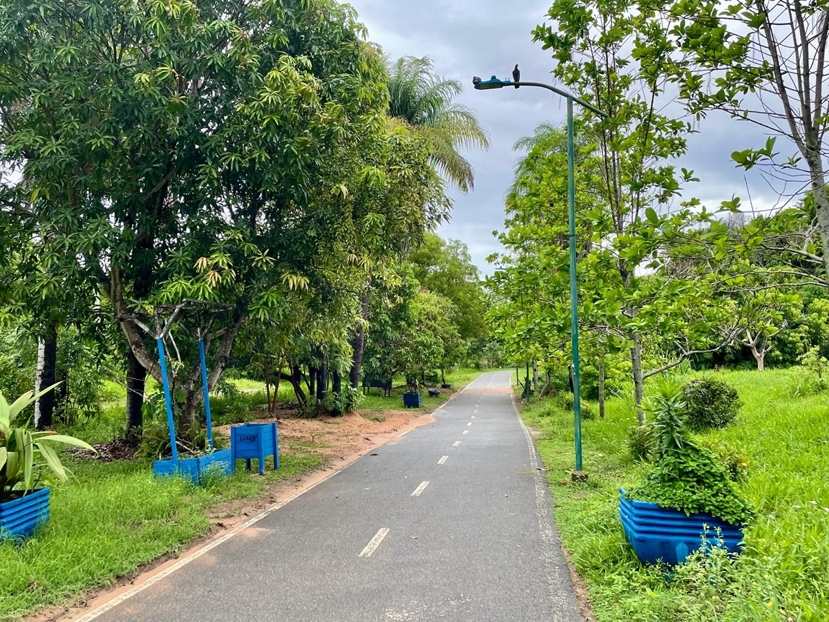 Parque da Cidade agora faz parte da gestão da Semma. Foto: Ascom Semma.