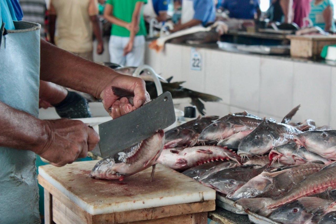 Prefeitura realiza primeira fiscalização ambiental do ano na Feira do Pescado