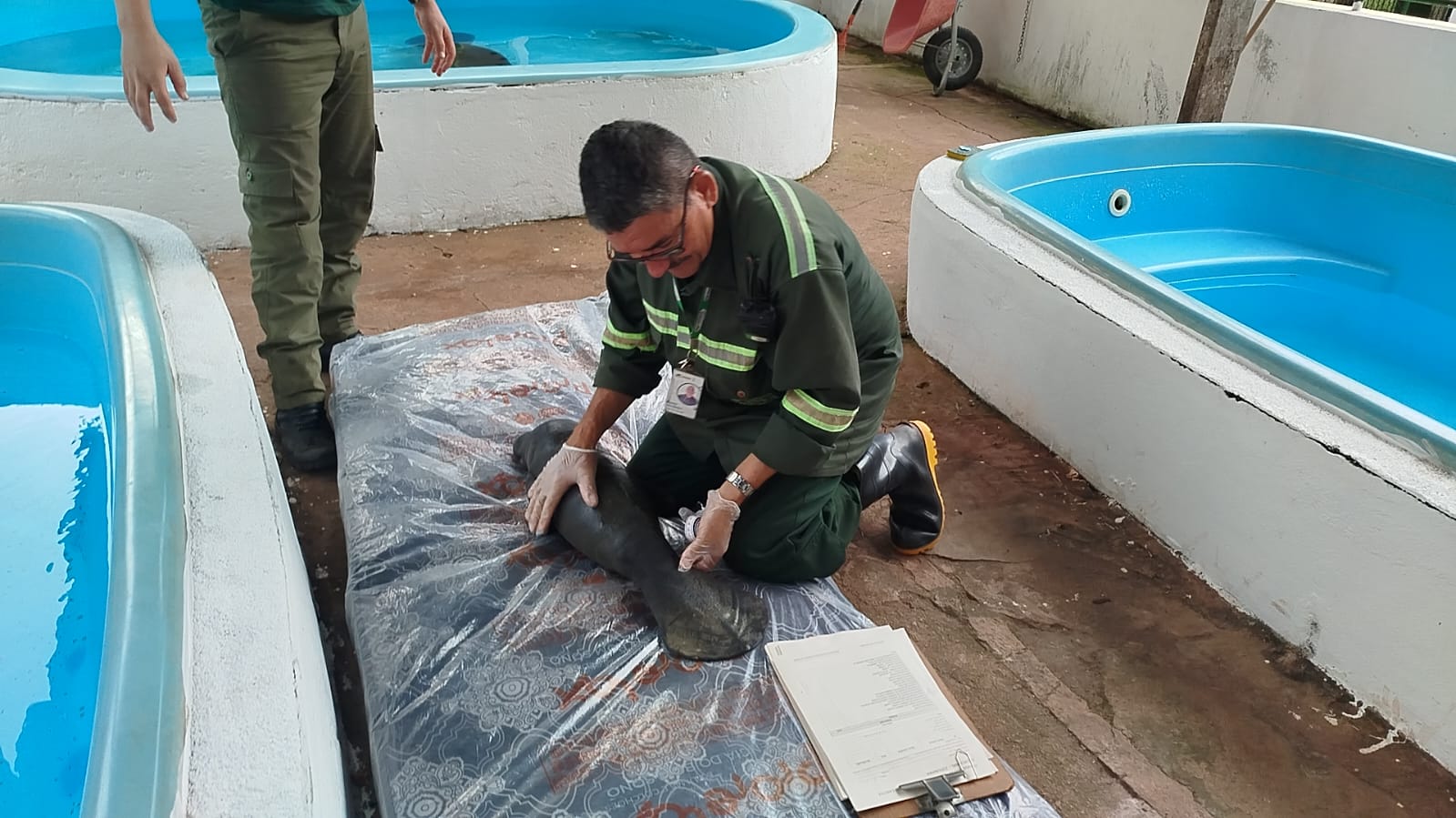 Semma refor&ccedil;a