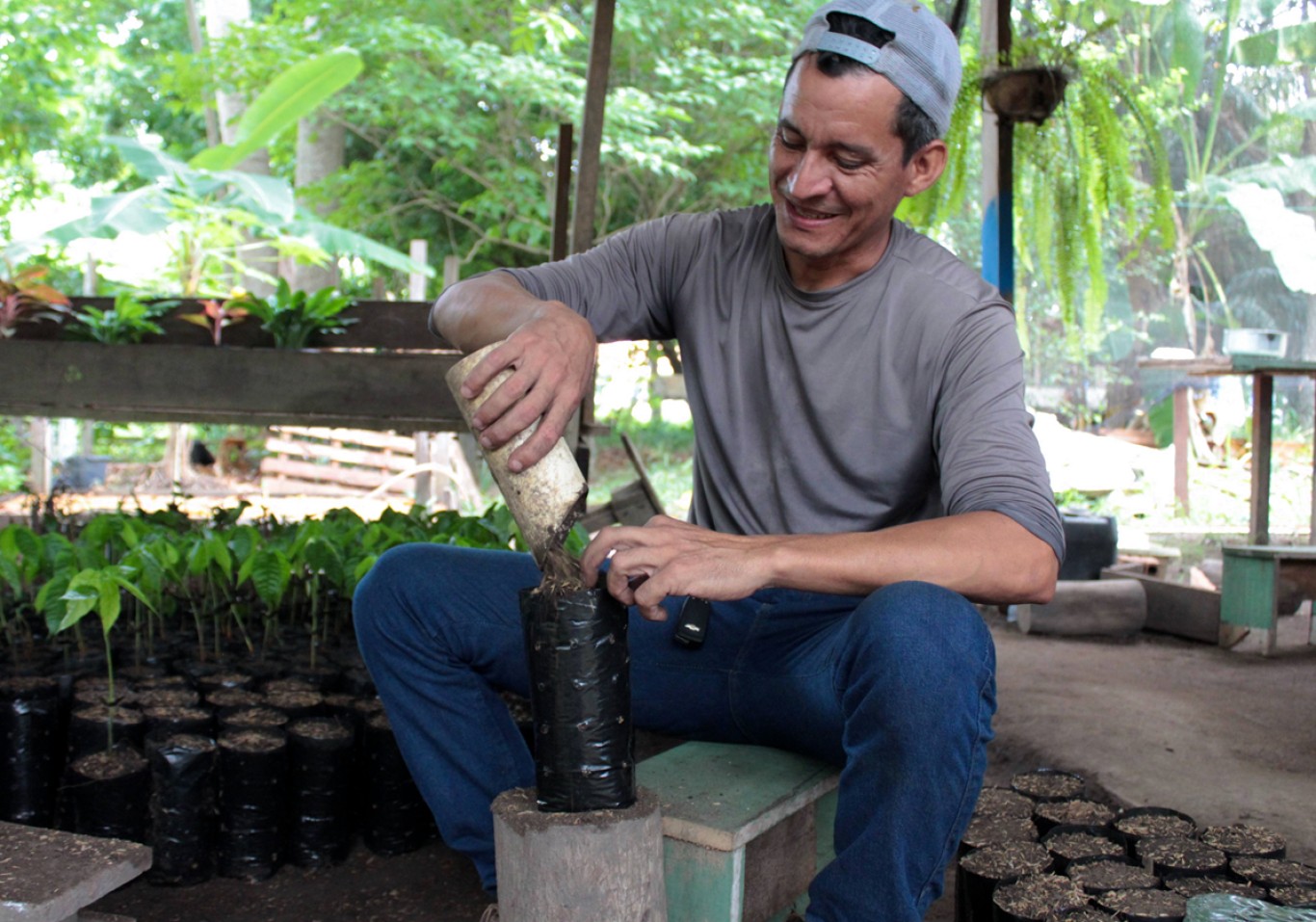 Inverno amazônico é o melhor período para plantar árvores e fortalecer áreas verdes da cidade