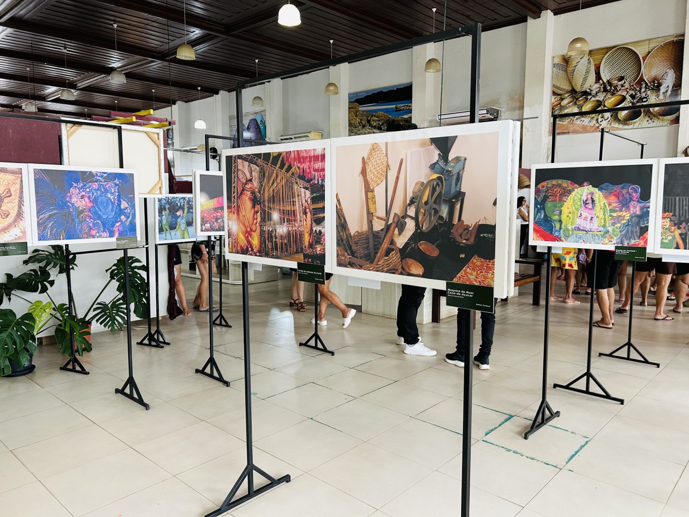 Imagem de No Dia Nacional do Fotógrafo, Cristo Rei recebe exposição Panorâmica Amazônica