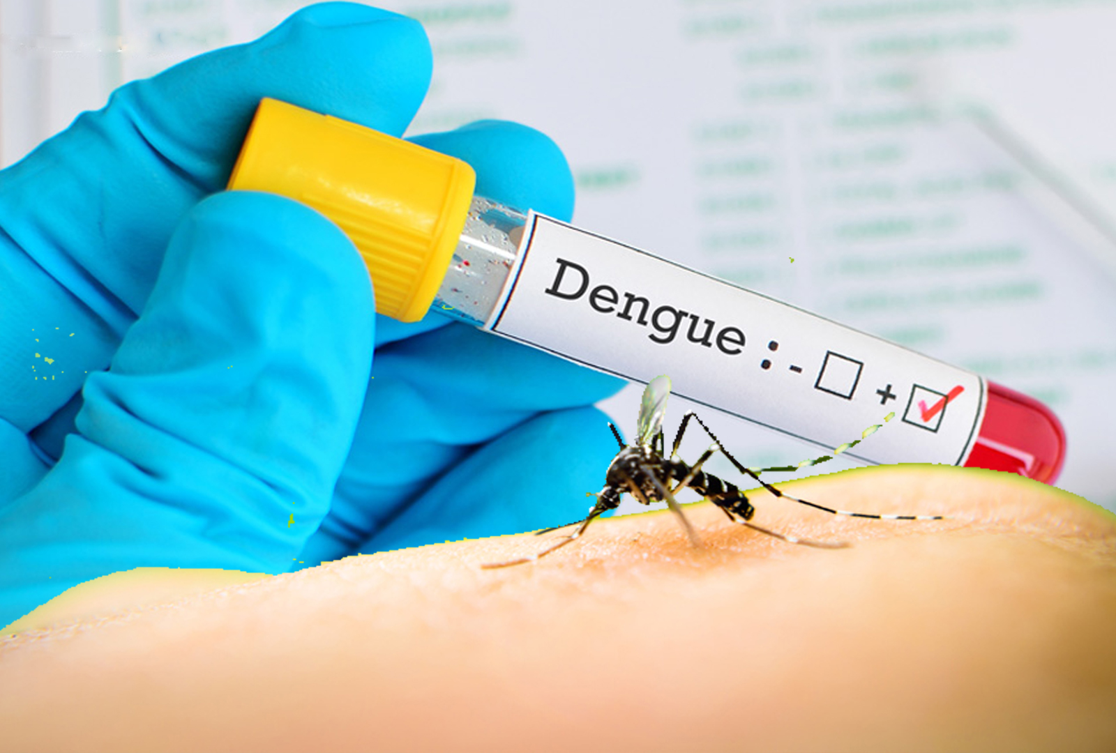 Queda nos casos de dengue, zika e chikungunya em Santarém