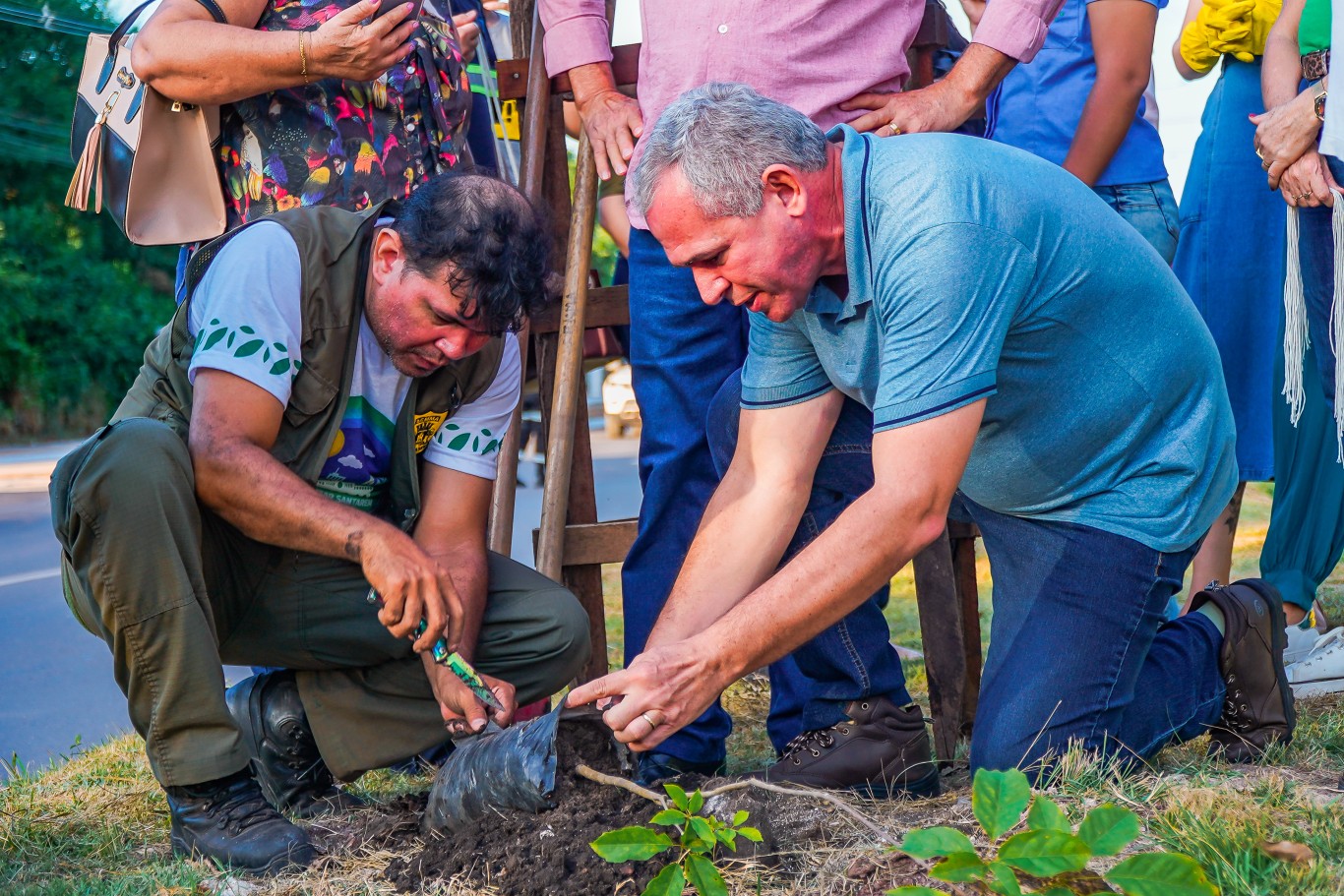 Santarém 362 anos: cerca de 80 mudas de Ipê-amarelo foram plantadas na Rodovia Fernando Guilhon