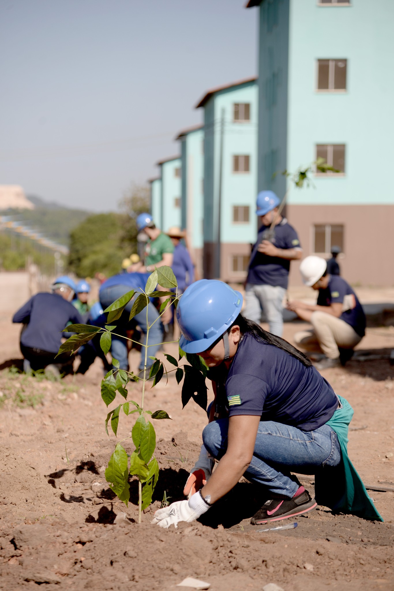 Imagem de Residencial Moaçara recebe mais 100 mudas em nova ação do programa Arborizar Santarém