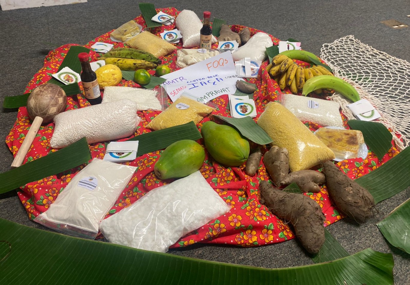 Imagem de Programa de Aquisição de alimentos fortalece alimentação saudável nas regiões de rios e planalto 