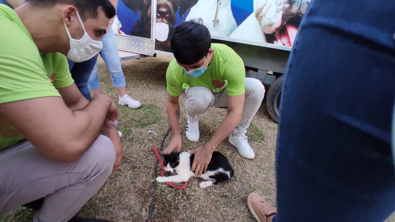 Semana Municipal do Meio Ambiente encerra com Pit Stop Animal