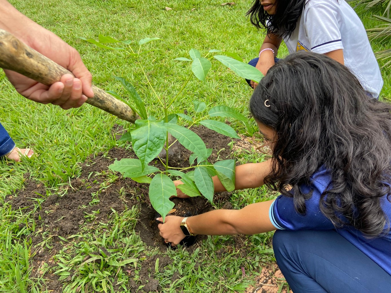Imagem de Dia Mundial do Meio Ambiente: alunos da rede municipal participam de seminário temático e realizam o plantio de mais de 100 mudas