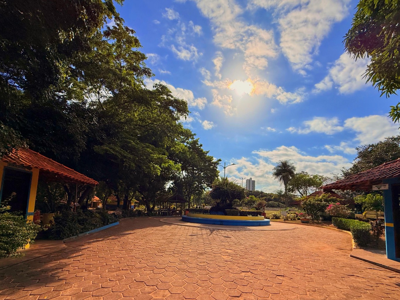 Imagem de Parque da Cidade celebra 17 anos com programação educativa, cultural e serviços à população