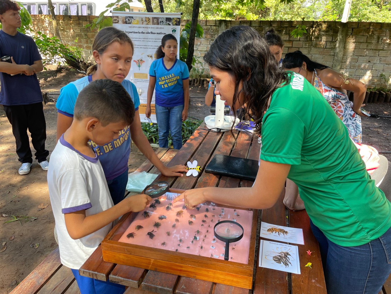 Santarém abre Semana do Meio Ambiente com palestras e ações educativas para estudantes