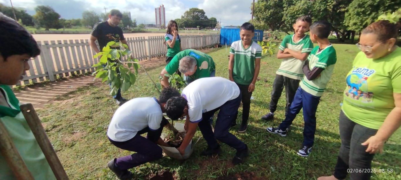 Imagem de Estudantes plantam ipê-roxo no Parque da Cidade em celebração ao Dia Mundial do Meio Ambiente