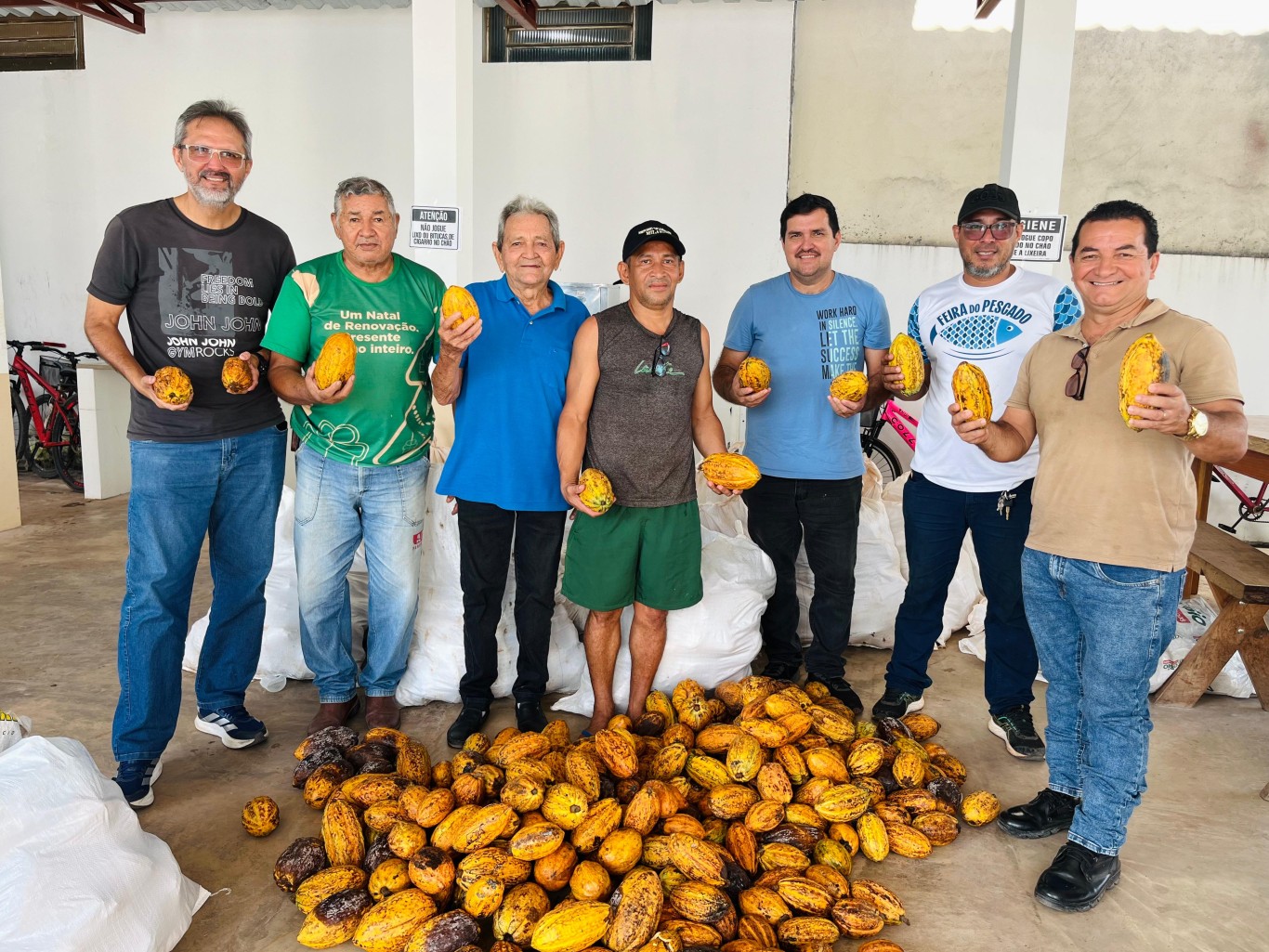 Prefeitura de Santarém avança no fortalecimento da cadeia produtiva do cacau com a entrega de 80 mil sementes para agricultores familiares