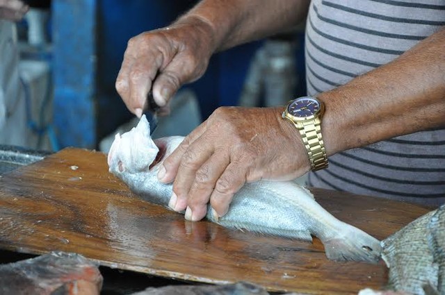 Sugestão de pauta: Reunião define últimos ajustes para a Semana do Pescado na região metropolitana de Santarém