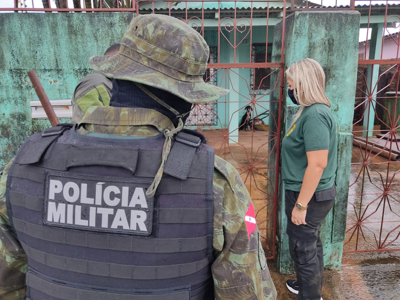 Cães vítimas de maus-tratos são resgatados no bairro Diamantino