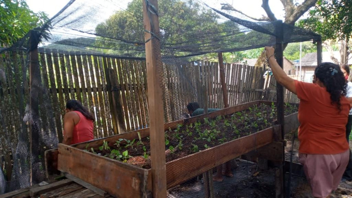 Mulheres aprendem técnicas de cultivo de horta