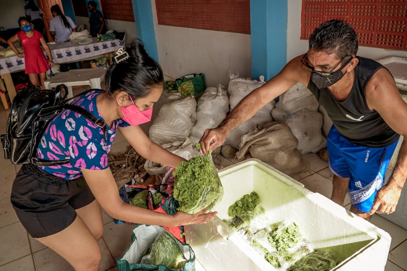 Trezentas famílias dos bairros Novo Horizonte e Santarenzinho recebem alimentos do Programa Alimenta Brasil