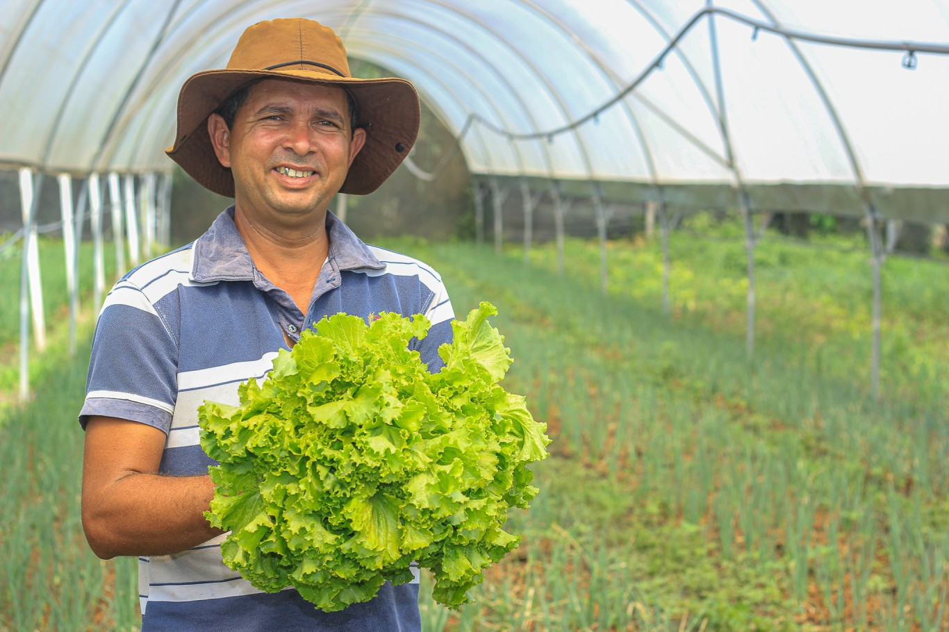 Investimentos na agricultura em 2021 refletem em avanços em 2022