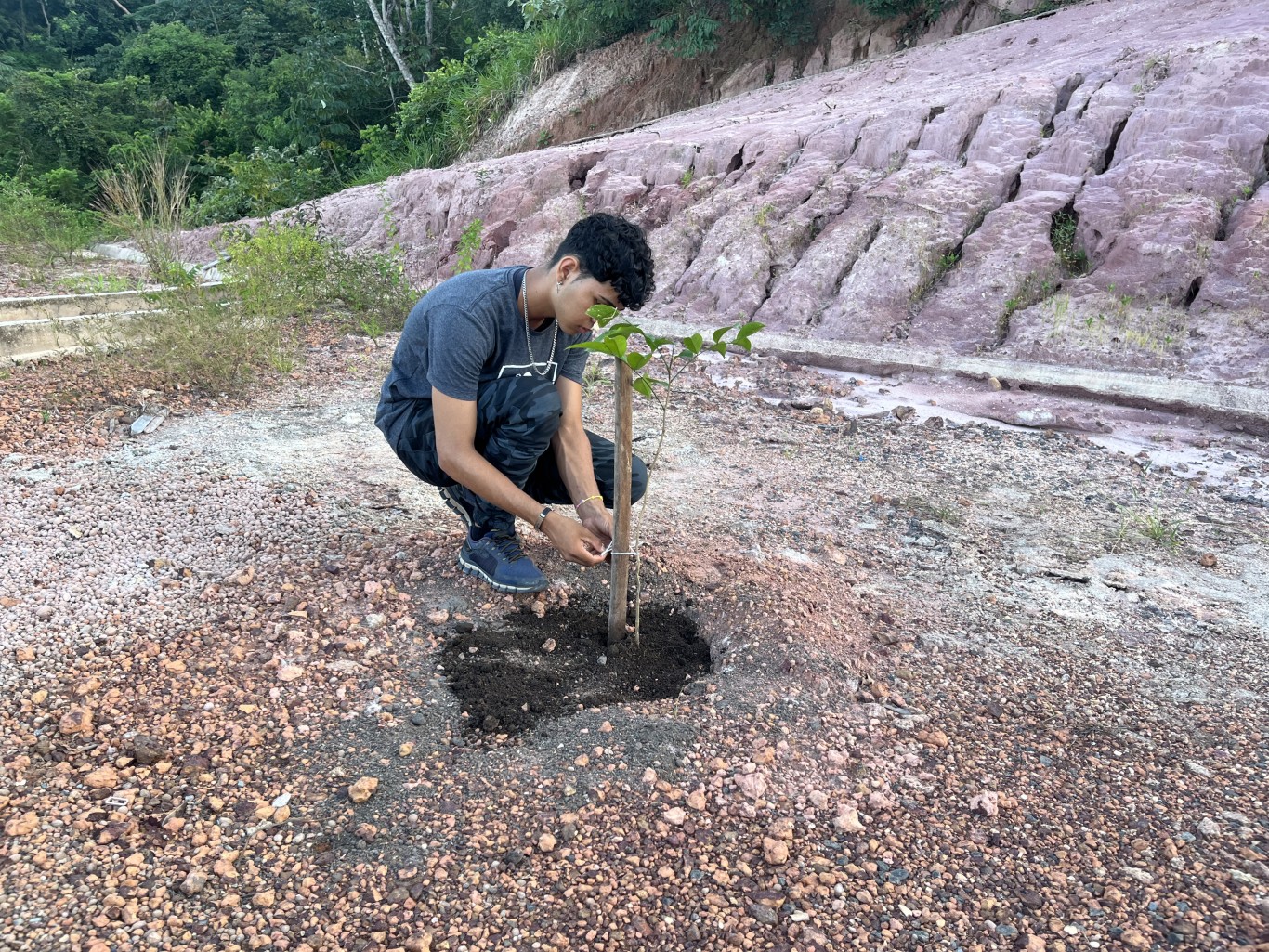 Semana da Água e da Árvore encerra com plantio na Av. Elias Pinto