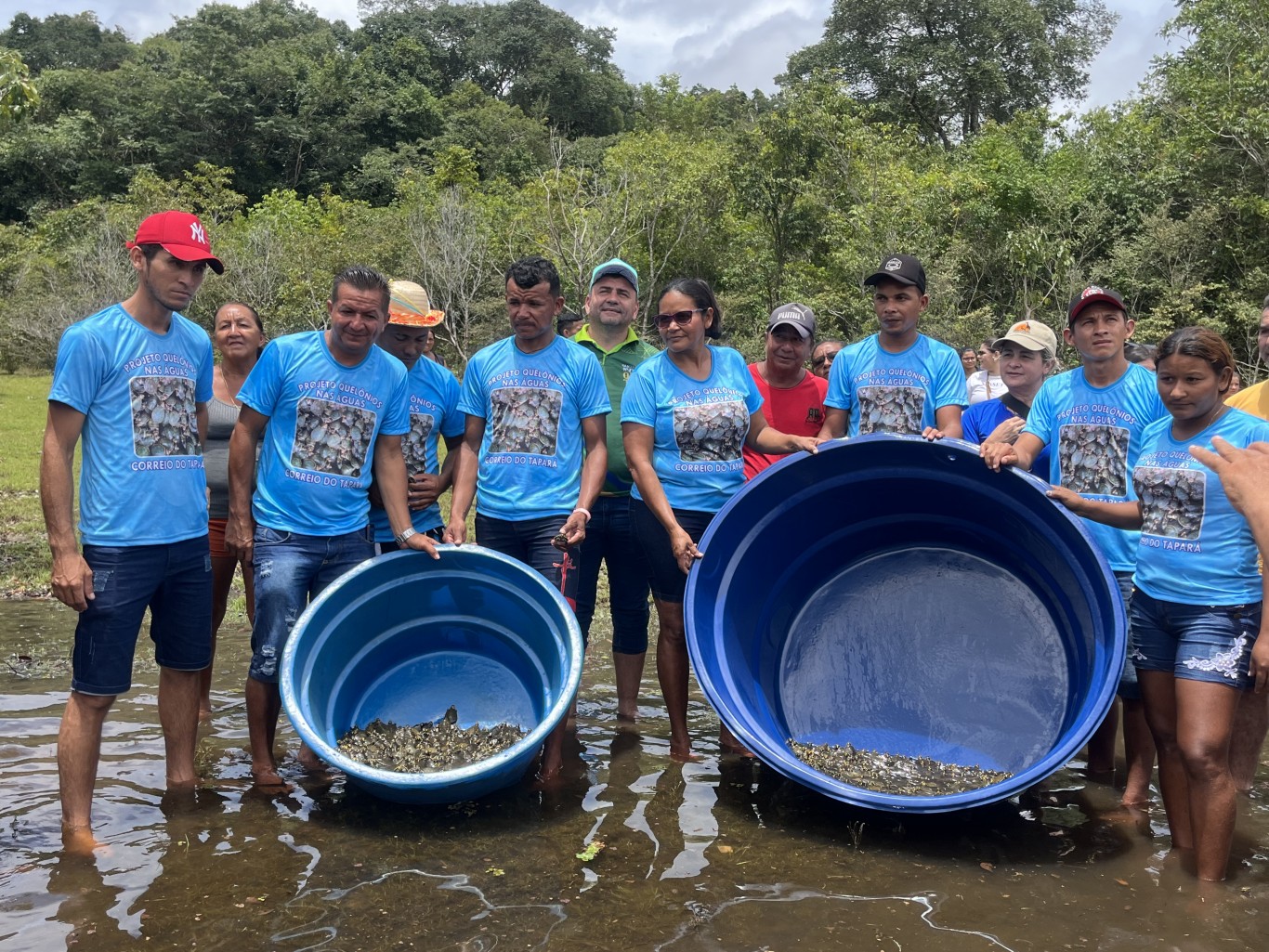 Correio do Tapará devolve mais de mil quelônios à natureza  