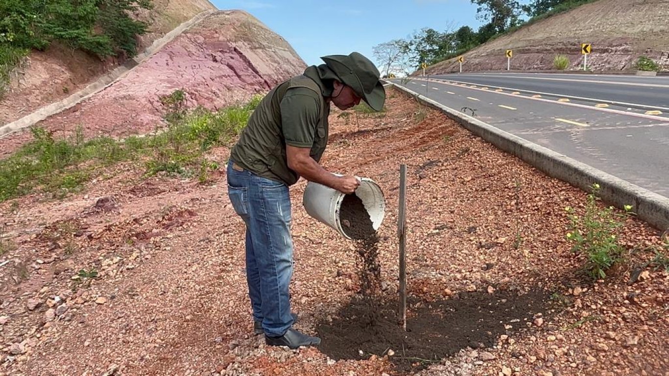 'Arborizar Santarém': equipes da Semma iniciam preparação do solo para mais uma etapa do programa