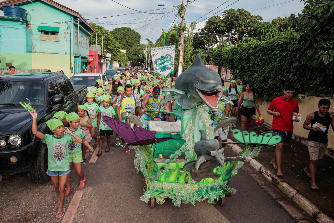 Circuito Tapajônico: Programação do Mergulho do Boto Tucuxi reúne foliões no Carnalter