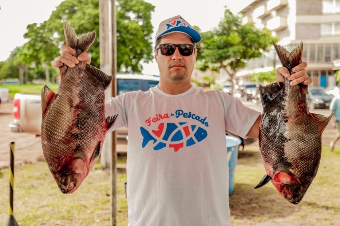 Imagem de Em Santarém, Feira do Pescado da Semana Santa começa nesta quarta-feira
