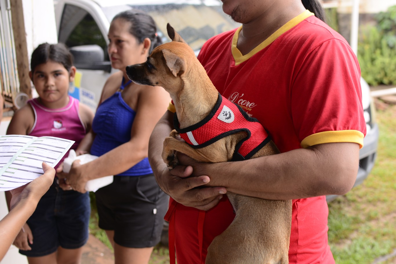 Ação da Prefeitura imuniza mais de mil animais contra a raiva no Dia Nacional dos Animais em Santarém