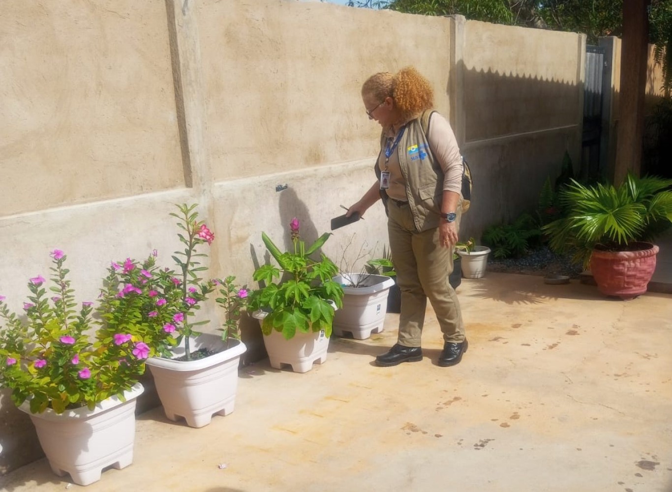 Imagem de Prefeitura intensifica combate à dengue em Santarém