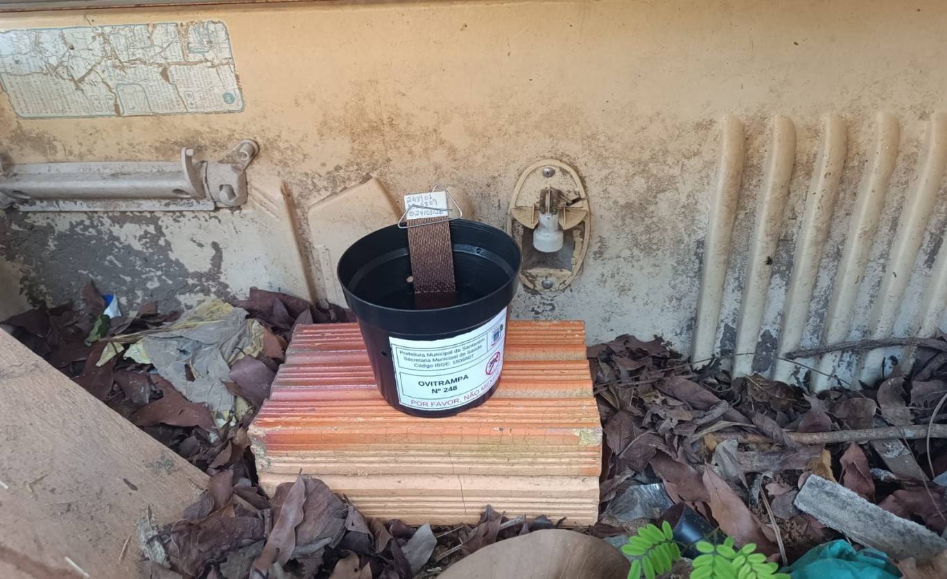 Imagem de Combate à Dengue: Santarém reforça ofensiva contra a dengue com instalação de armadilhas em pontos críticos