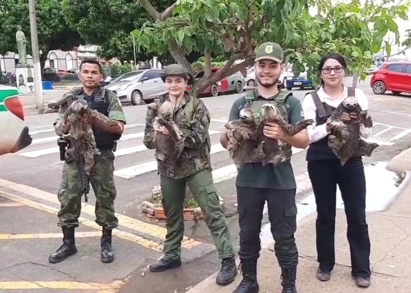 Semma resgata macacos e preguiças afetados pelo fenômeno das ‘terras caídas’