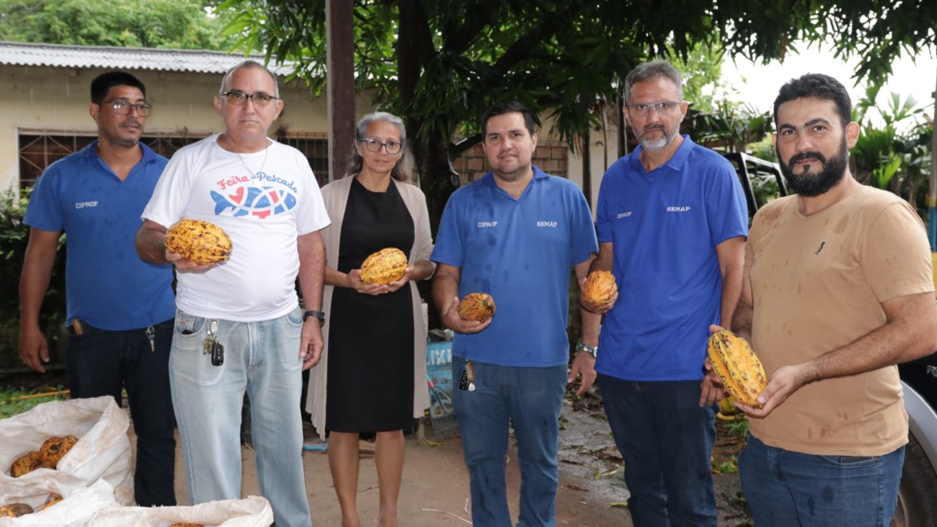 Prefeitura busca expandir a cultura do cacau em Santarém