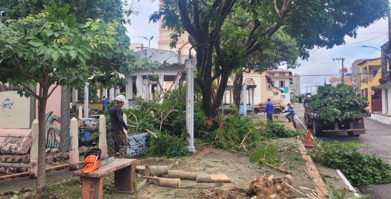 Prefeitura realiza manutenção, limpeza e poda de árvores na Praça do Centenário