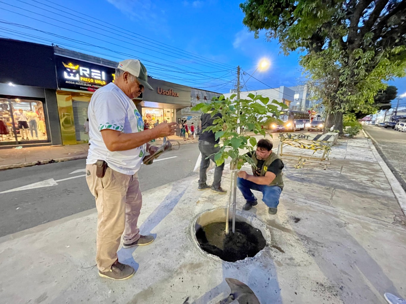Imagem de Arborizar Santarém: Prefeitura reforça compromisso com a arborização urbana