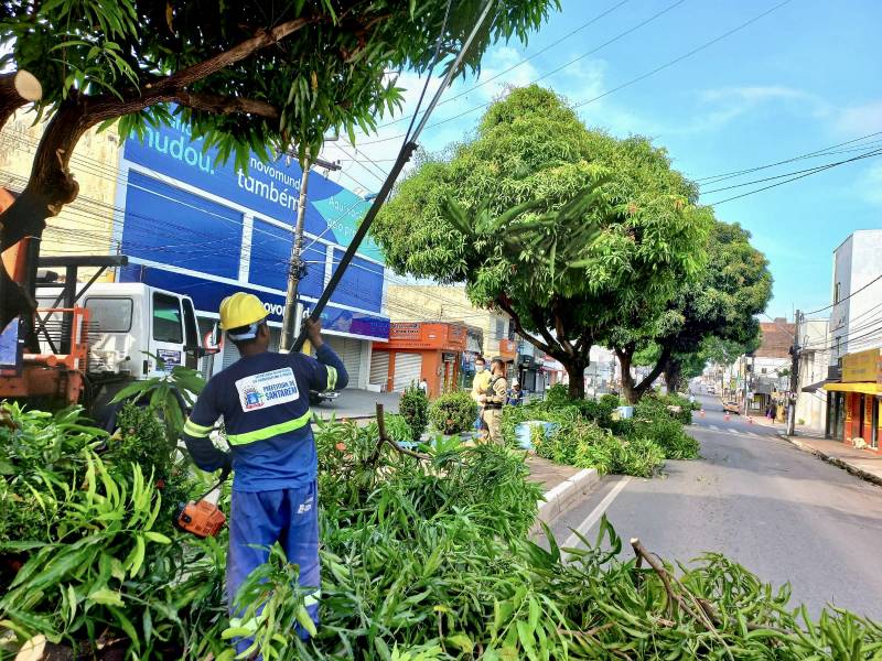 Prefeitura de Santarém realiza podas de árvores como medida preventiva na Avenida Rui Barbosa