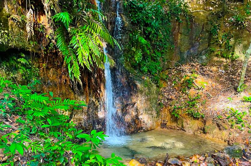 Prefeitura inicia georreferenciamento da área do Parque Municipal Rocha Negra