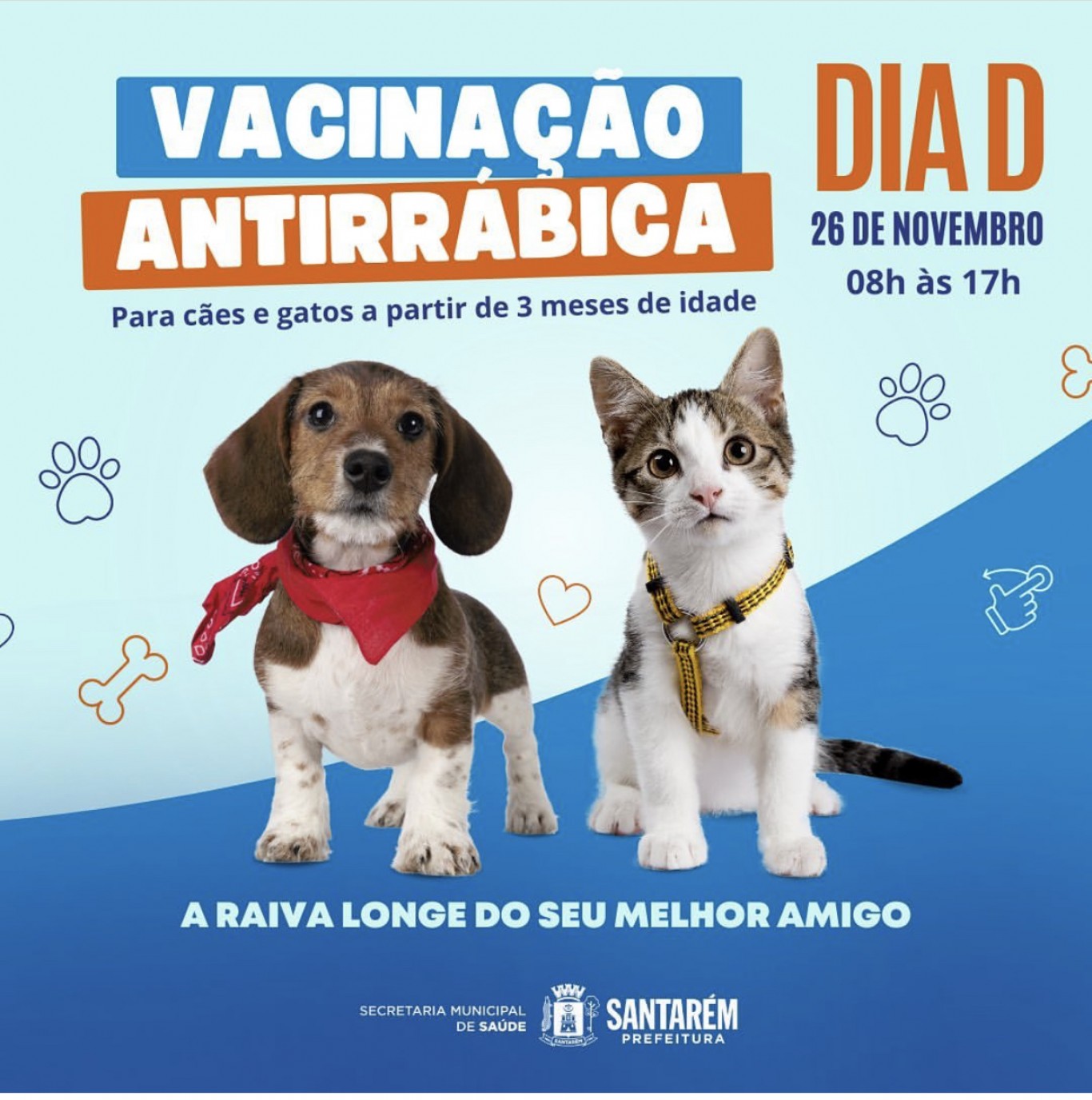 Dia D de vacinação antirrábica ocorre neste sábado, 26, com 94 postos de imunização