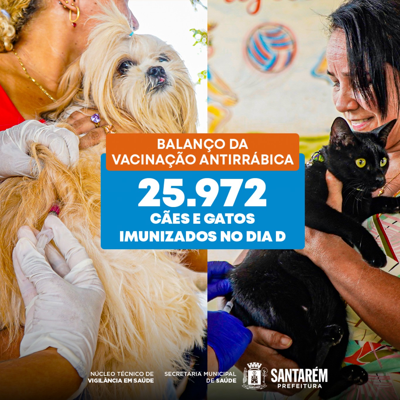 Mais de 25.900 animais são imunizados no dia D da vacinação antirrábica  