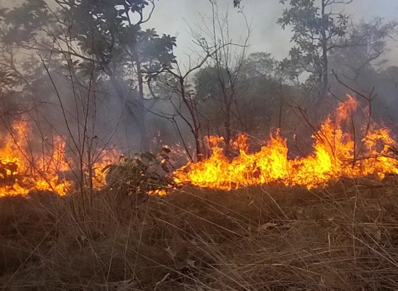 Semma divulga Portaria para monitoramento e enfrentamento de queimadas em Santarém