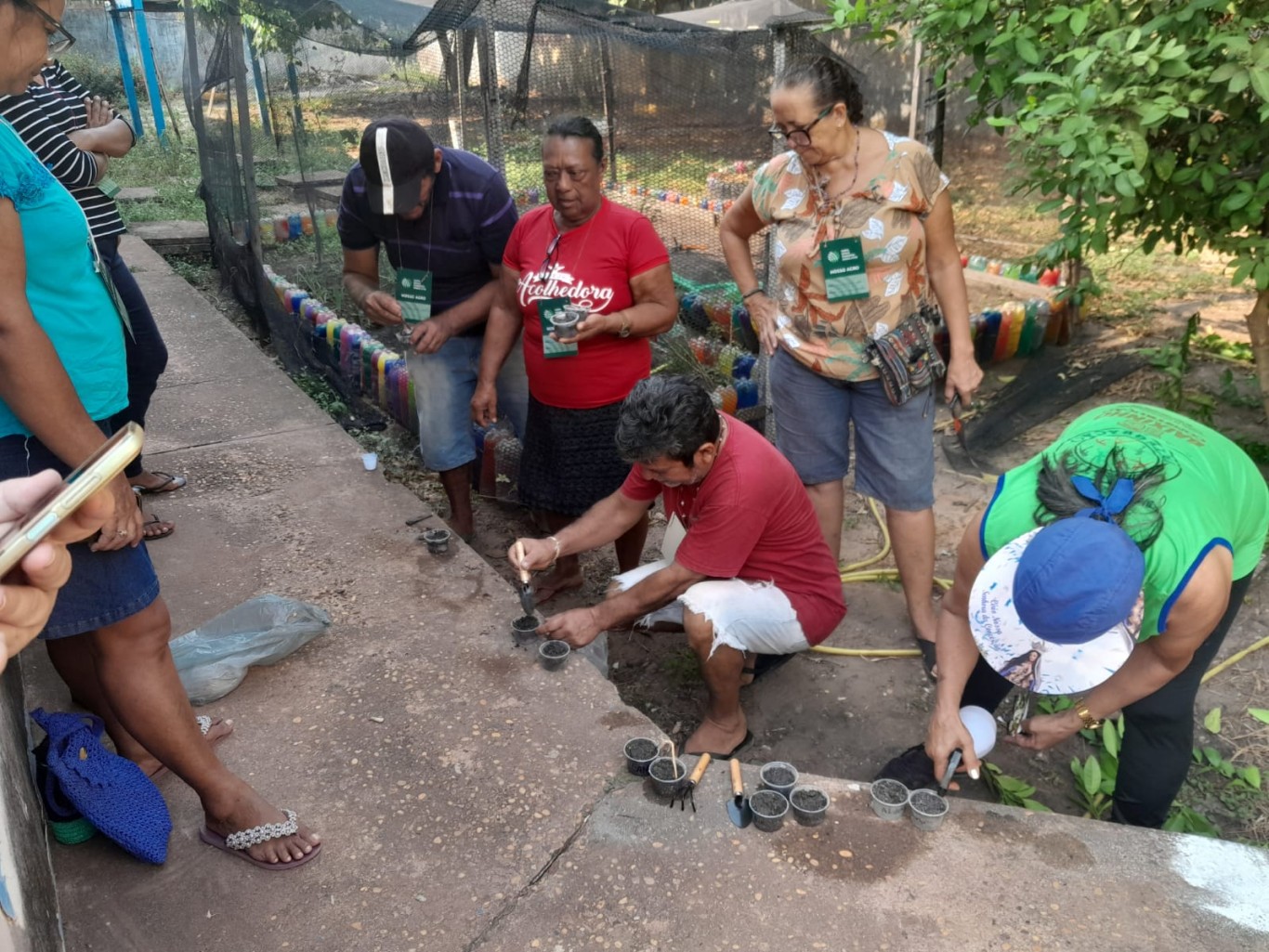 Usuários do CRAS Nova República participam de curso de cultivo de plantas medicinais