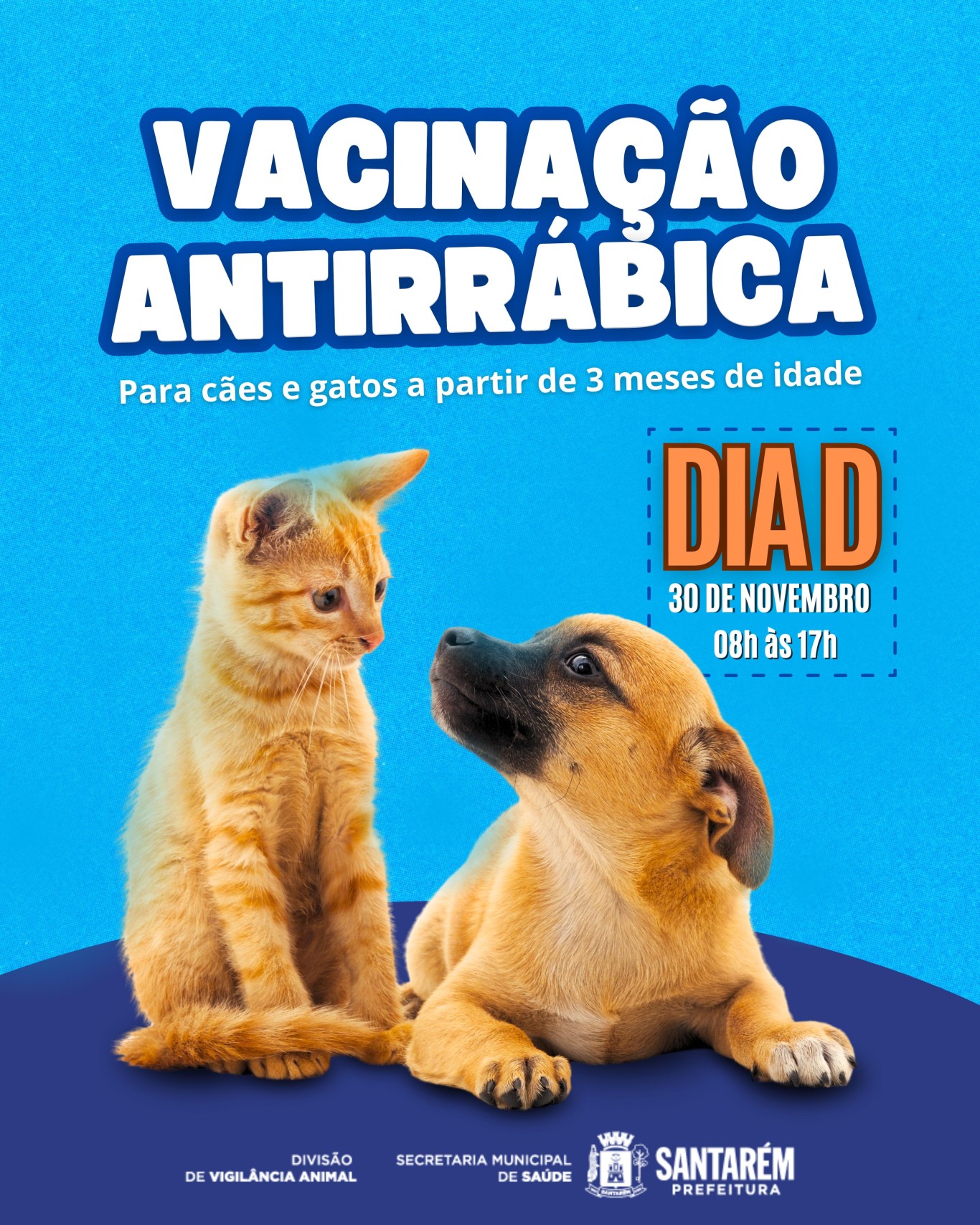 Semsa promove dia D de vacinação antirrábica animal em Santarém