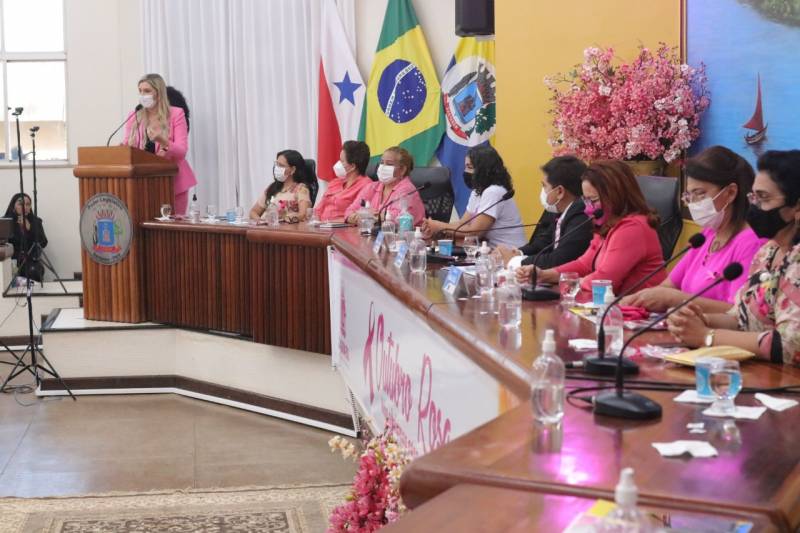 Assistência Social participa de Sessão especial da campanha Outubro Rosa na Câmara Municipal