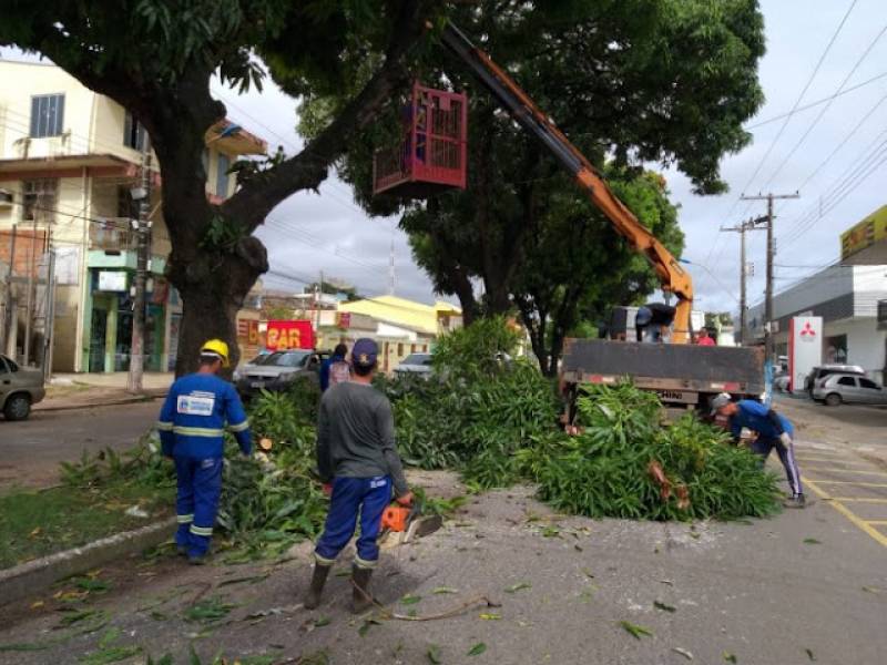 Prefeitura e demais órgãos alinham trâmites de poda e supressão de árvores em Santarém